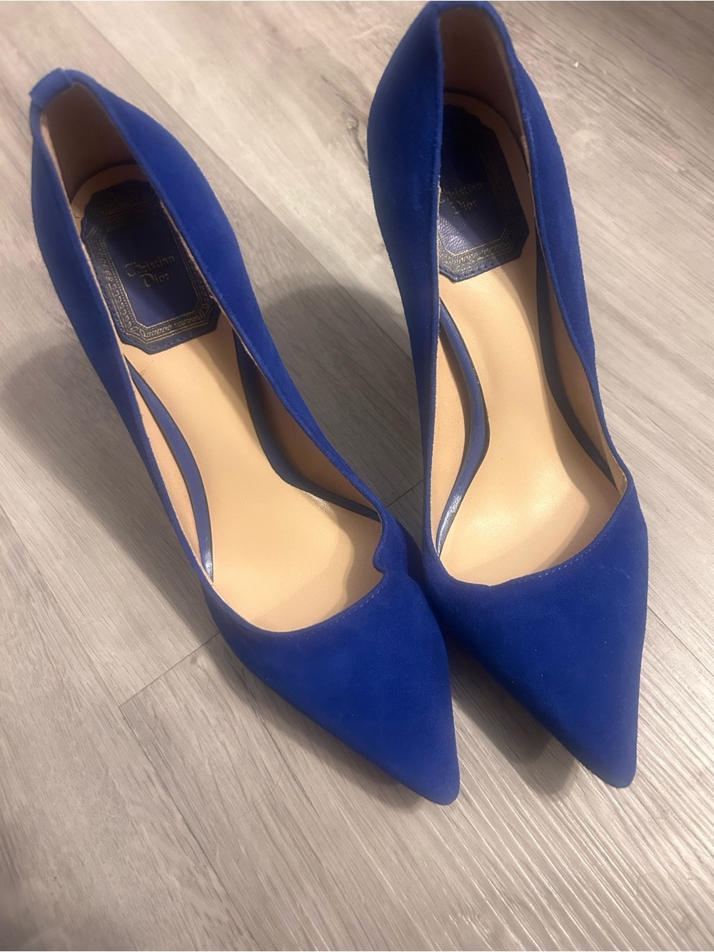 Dior Cobalt Blue Suede Pointed-Toe Pumps